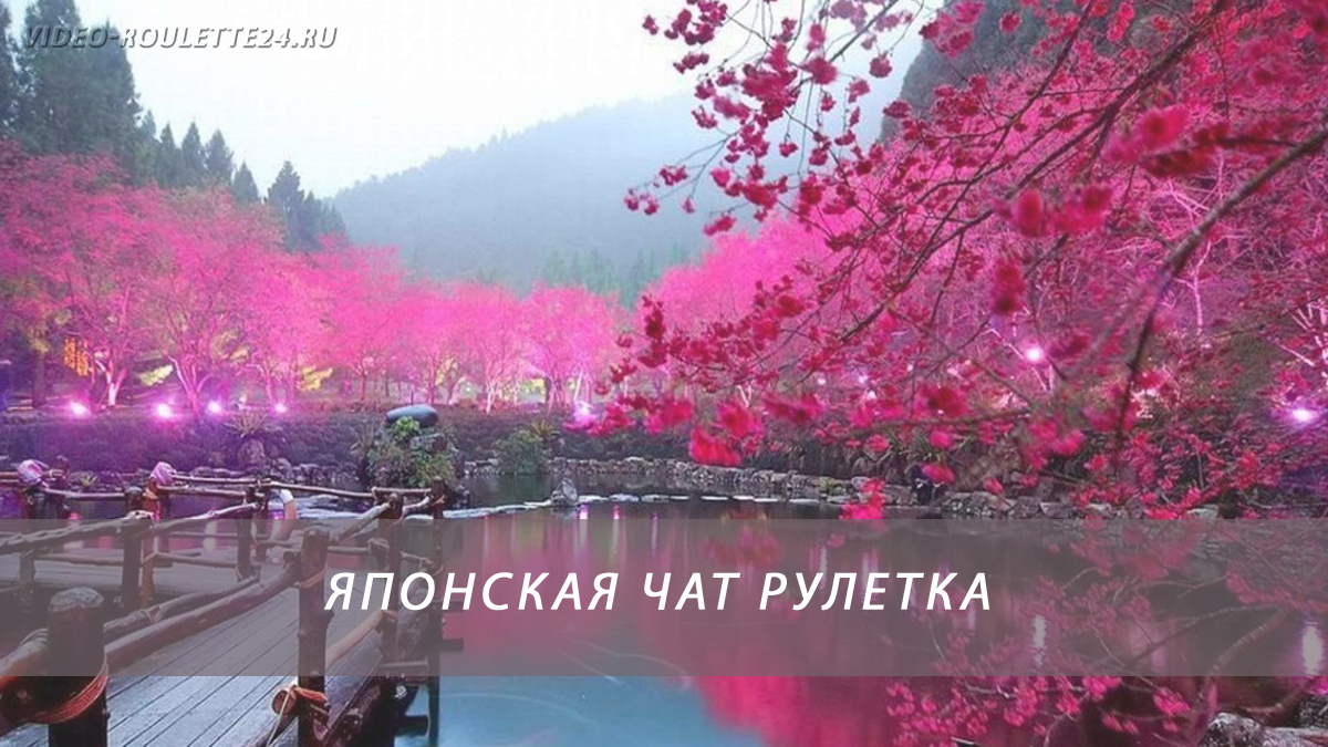 Японская чат рулетка